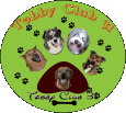 Tobby CLub 31